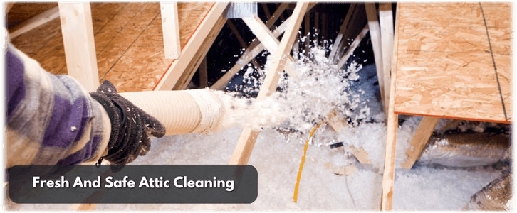 Attic Cleaning Burke