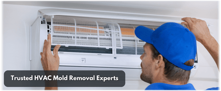 HVAC Mold Removal Burke